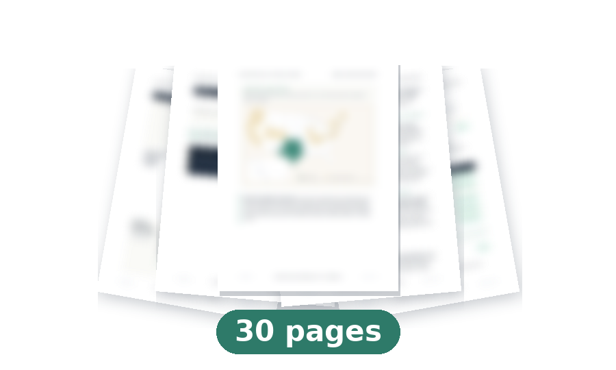 The full report — 30 pages